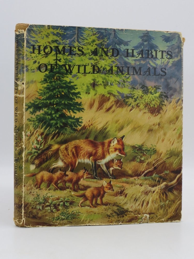 Image for HOMES AND HABITS OF WILD ANIMALS: NORTH AMERICAN MAMMALS HOMES AND HABITS OF WILD ANIMALS: NORTH AMERICAN MAMMALS