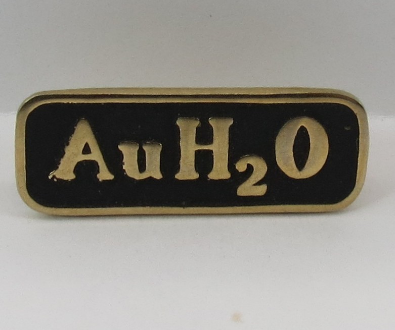 BARRY GOLDWATER AU-H2O GOLD PIN 7/8