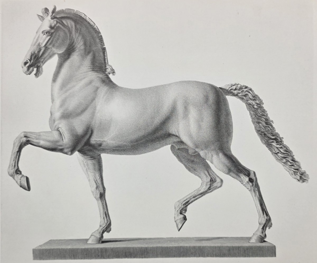 ANTIQUE ANTONIO CANOVA PRINT COLOSSAL HORSE SCULPTURE NEOCLASSICAL