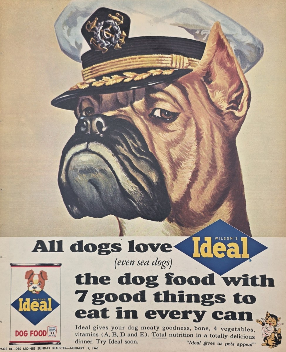 RARE 1965 WILSON'S IDEAL BOXER IN CAPTAIN HAT DOG FOOD AD