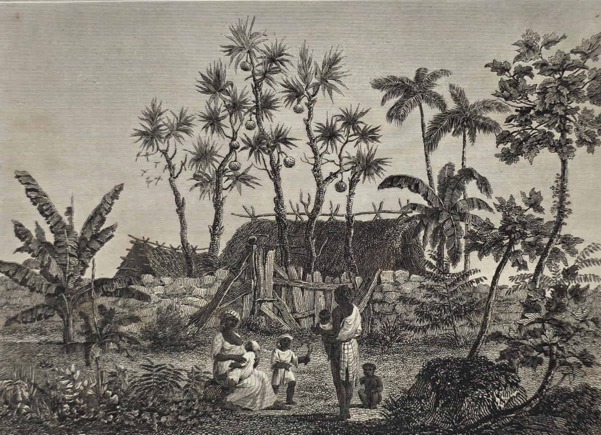 ANTIQUE 1812 VIEW OF THE RIVER D'ABORD, ISLE OF BOURBON COPPER PLATE ENGRAVING AFTER JEAN-BAPTISTE GENEVIVE MARCELLIN BORY DE SAINT-VINCENT.