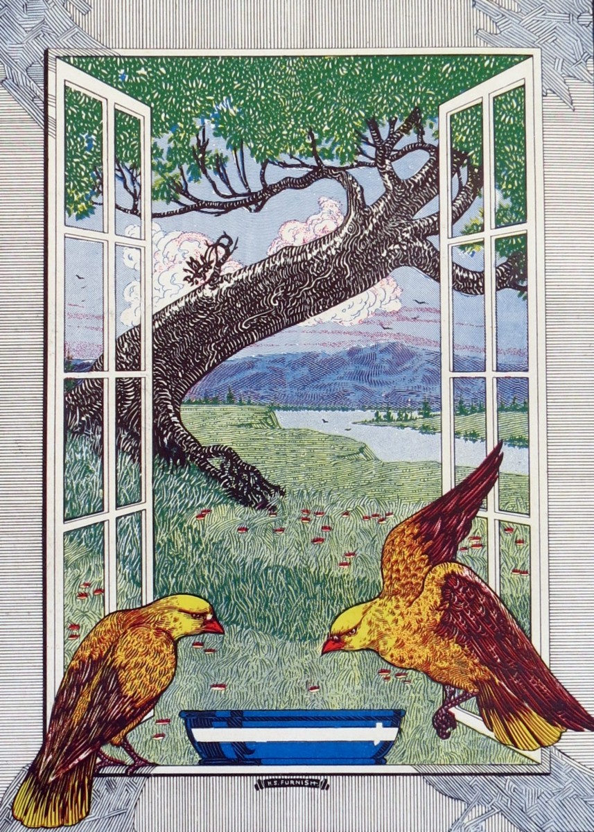 VINTAGE 1927 BIRDS WOODCUT PRINT BY H. S. FURNISH