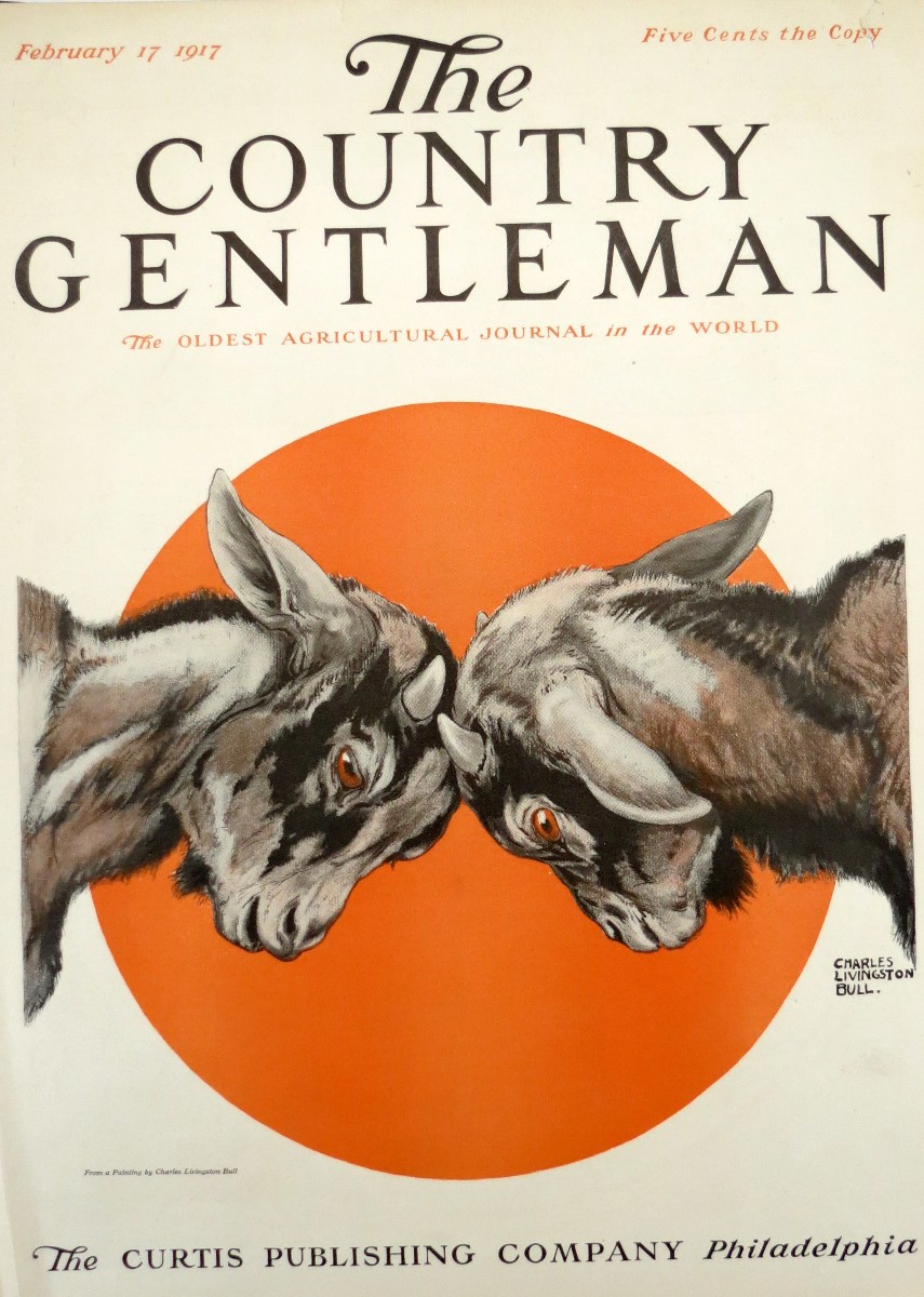 ORIGINAL CHARLES LIVINGSTON BULL GOATS FEBRUARY 17, 1917 COUNTRY GENTLEMAN MAGAZINE COVER