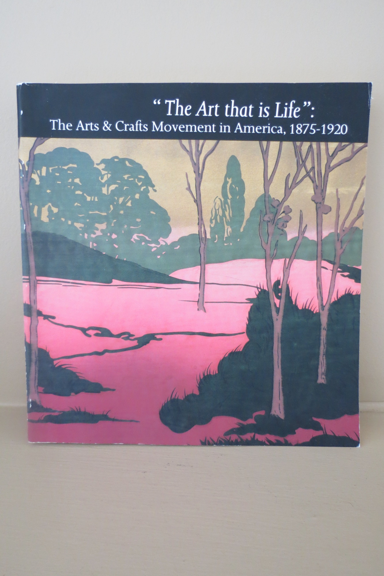 Image for THE ART THAT IS LIFE The Arts and Crafts Movement in America 1875-1920