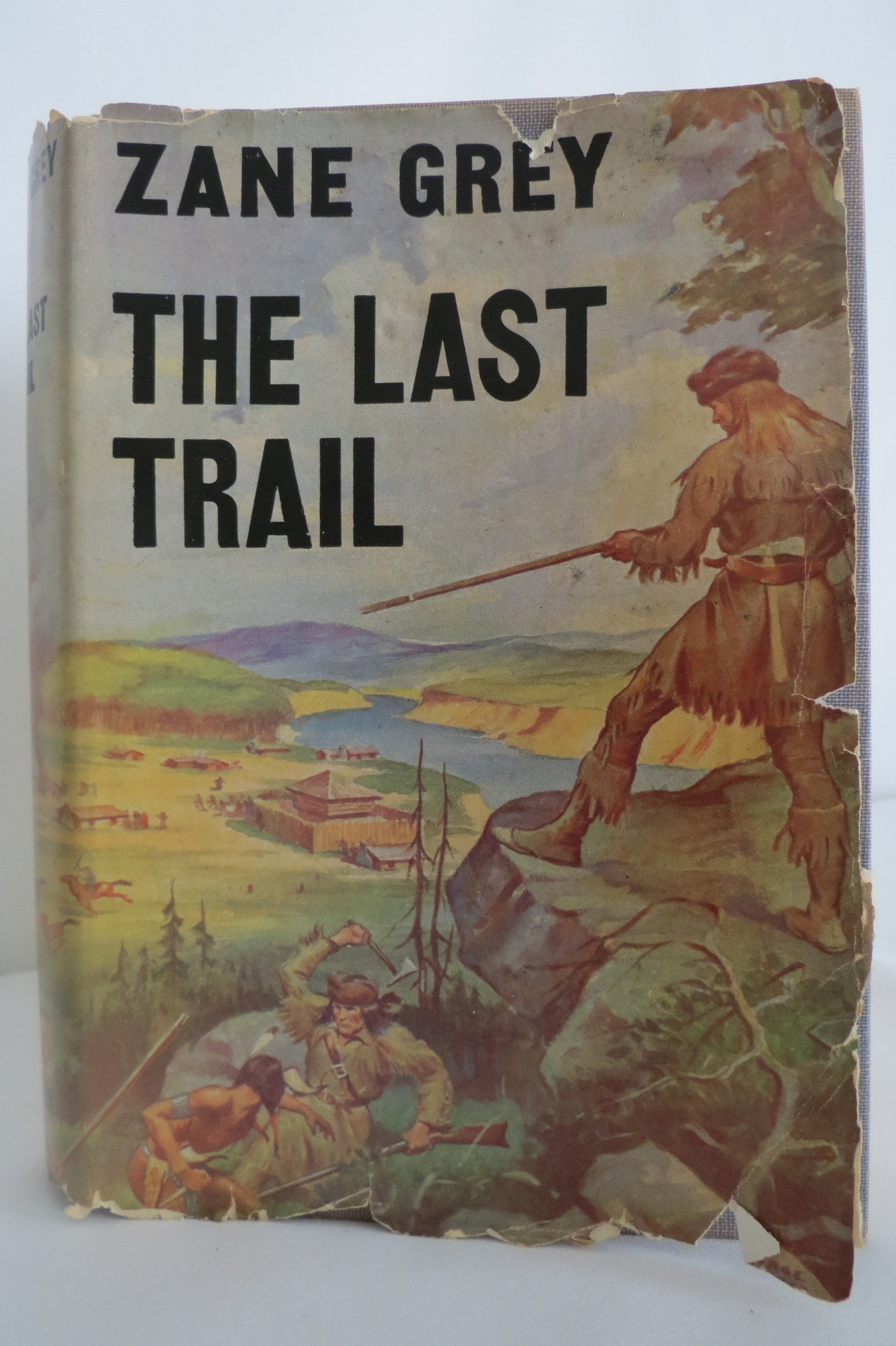 Image for THE LAST TRAIL  (DJ protected by clear, acid-free mylar cover)