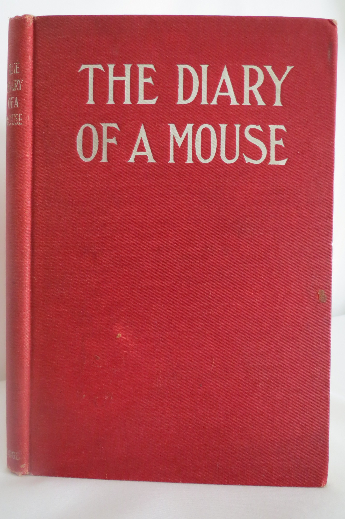 Image for THE DIARY OF A MOUSE