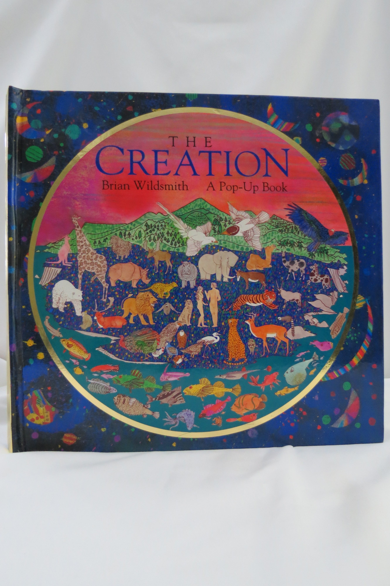 Image for CREATION A Pop-Up Book