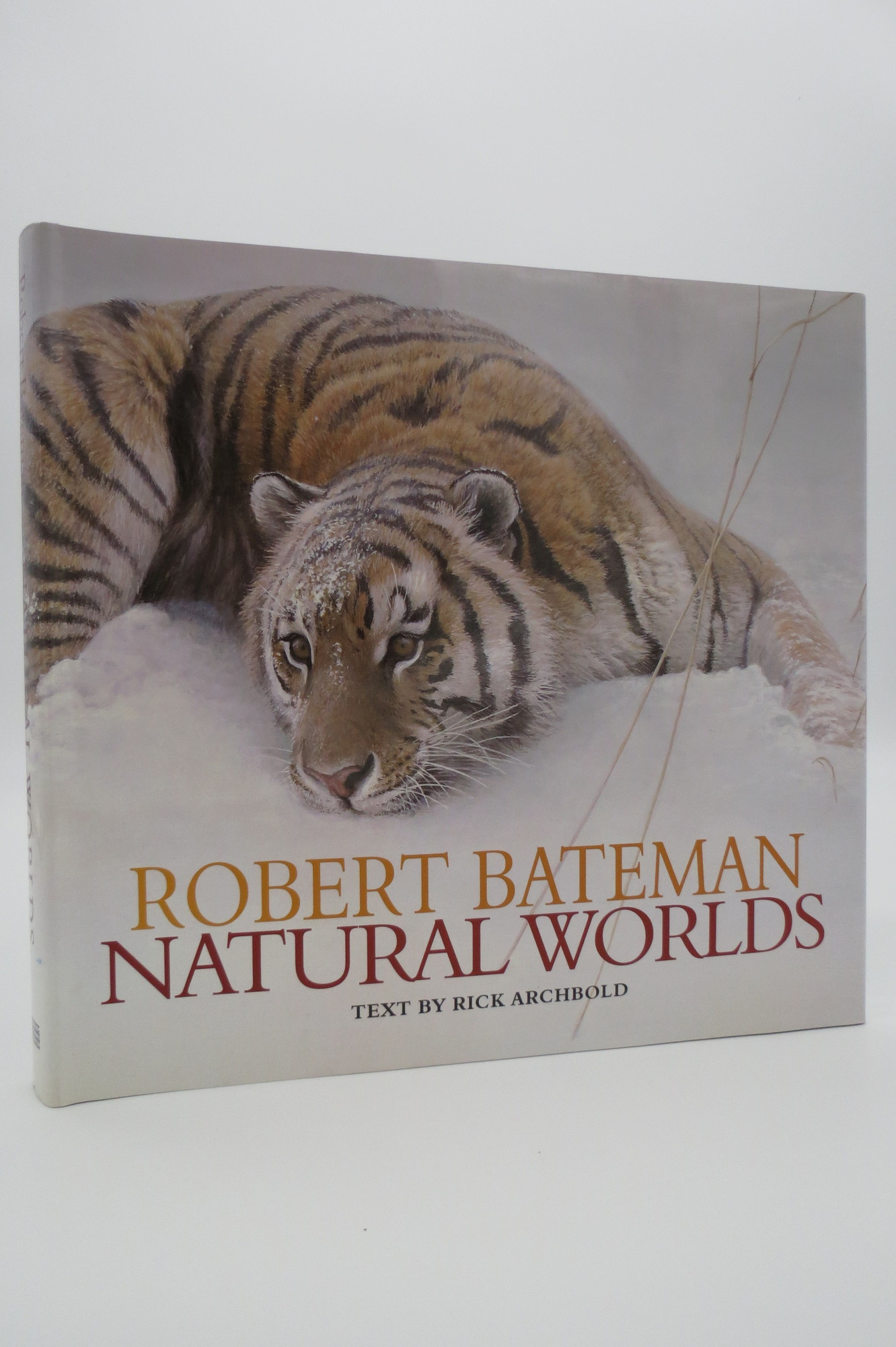 Image for NATURAL WORLDS  (DJ protected by a brand new, clear, acid-free mylar cover)