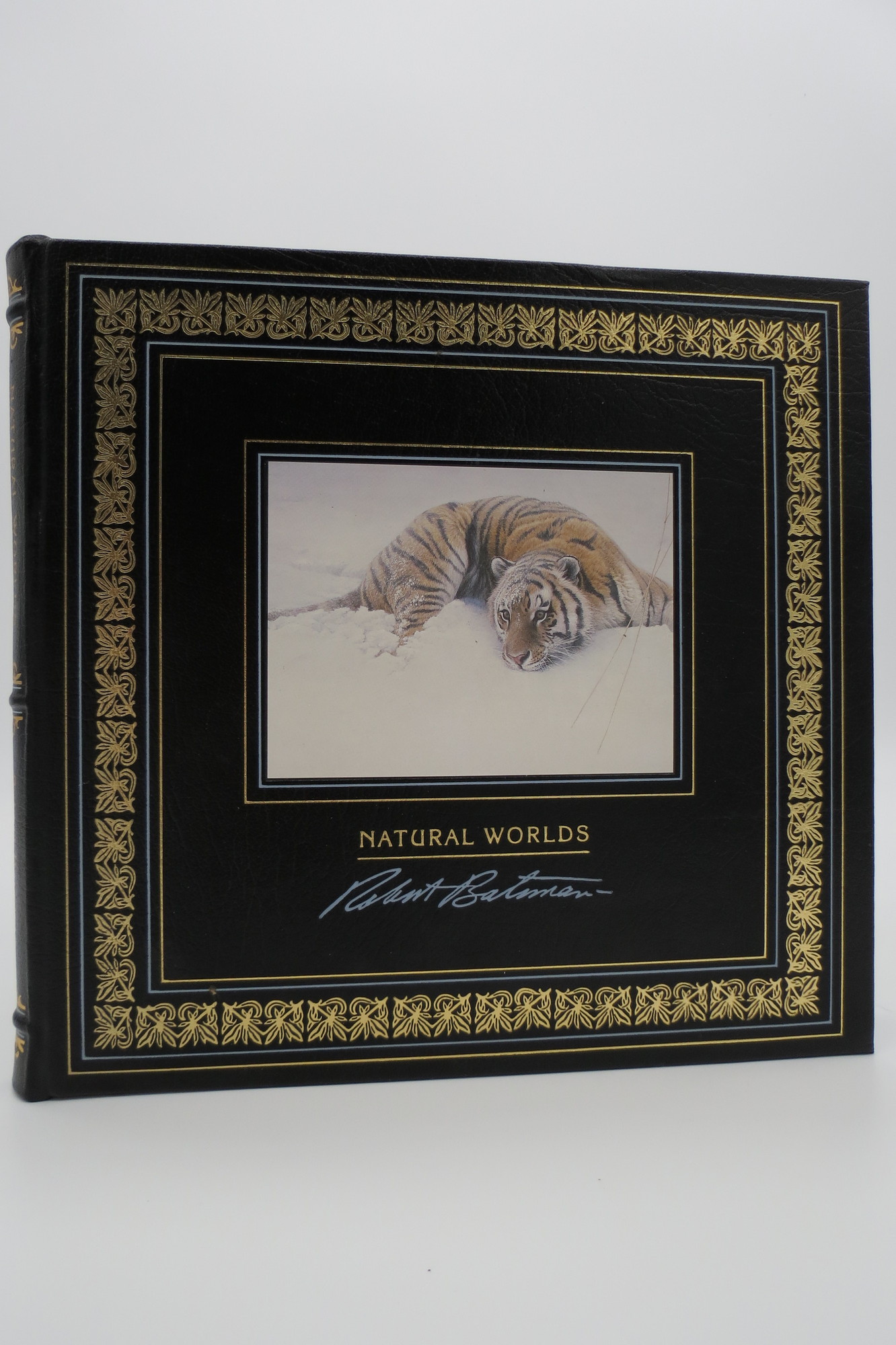 Image for NATURAL WORLDS  (Leather Bound)