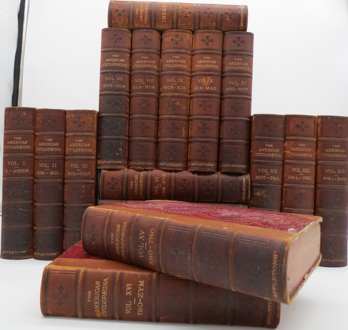 Image for THE AMERICAN CYCLOPAEDIA A Popular Dictionary of General Knowledge (Complete Set of 17 Volumes, Including Scarce Index) (Leather Bound)