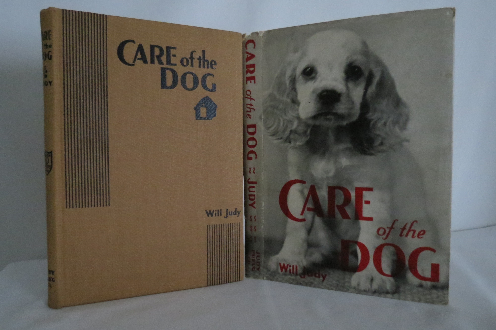 Image for CARE OF THE DOG  (DJ protected by clear, acid-free mylar cover)