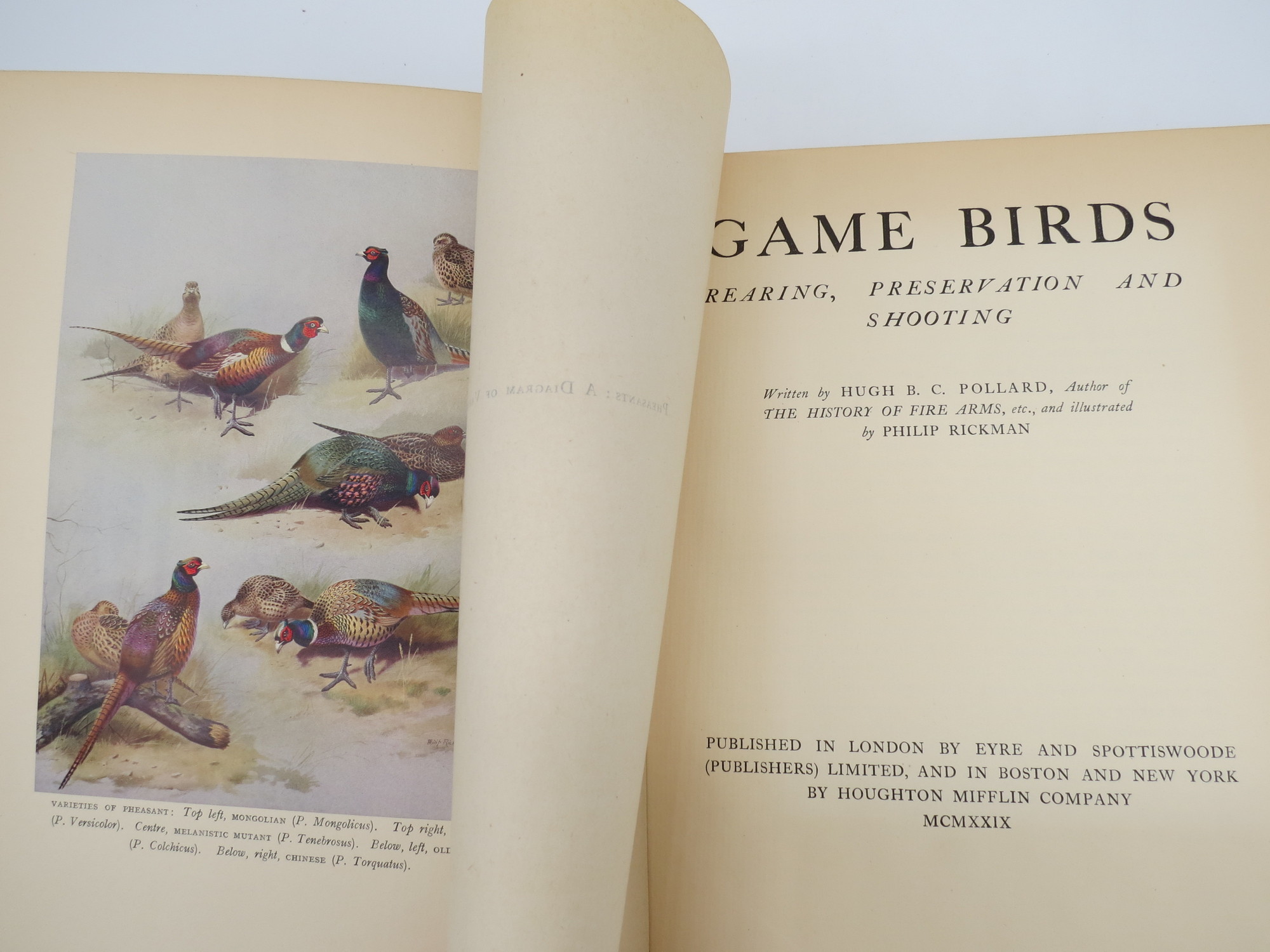 GAME BIRDS, REARING, PRESERVATION AND SHOOTING