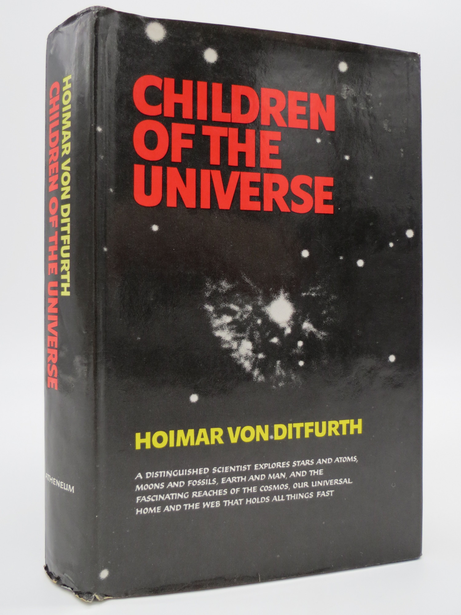 Image for CHILDREN OF THE UNIVERSE The Tale of Our Existence