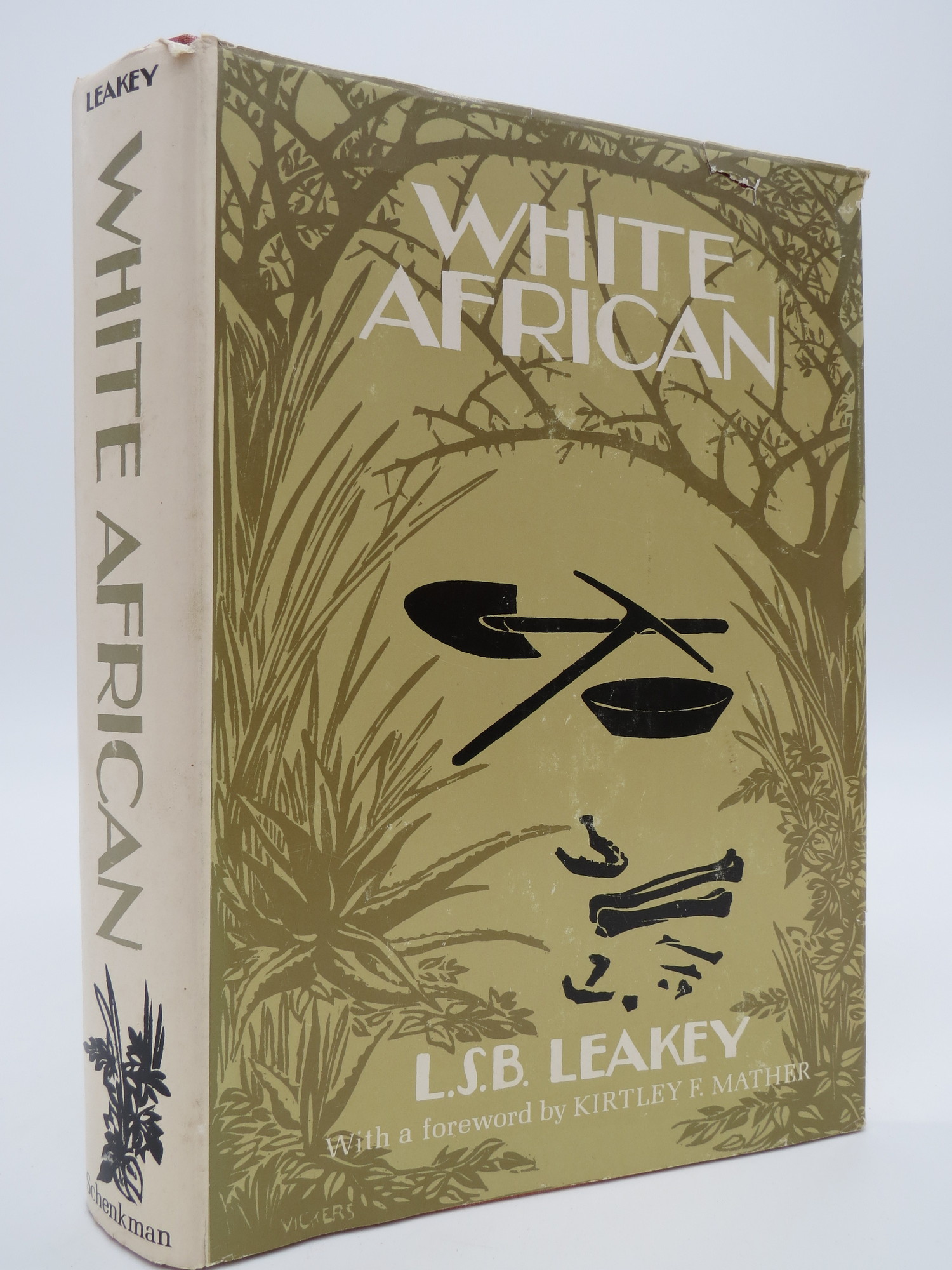 Image for WHITE AFRICAN An Early Autobiography