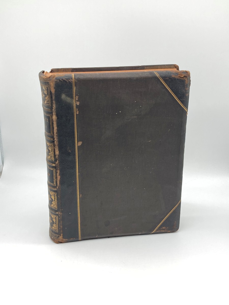 Picturesque Europe (1875 - Volume 1) A Delineation by Pen and Pencil of the Natural Features and the Picturesque and Historical Places of Great Britain and the Continent