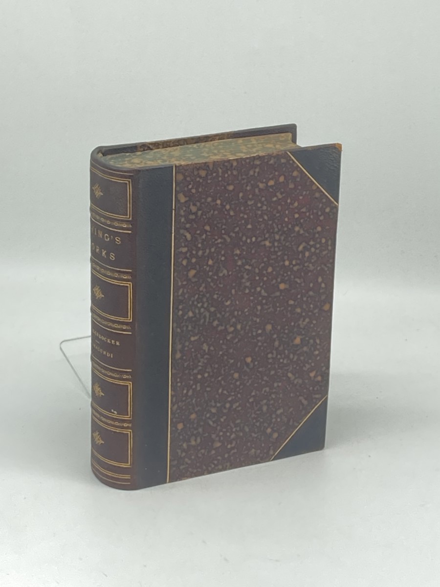 Knickerbockers of New York; Salmagundi (1882) ; Washington Irving's Complete Works, Volume 2