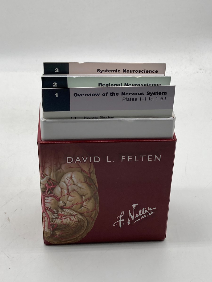 Netter's Neuroscience Flash Cards | eBay