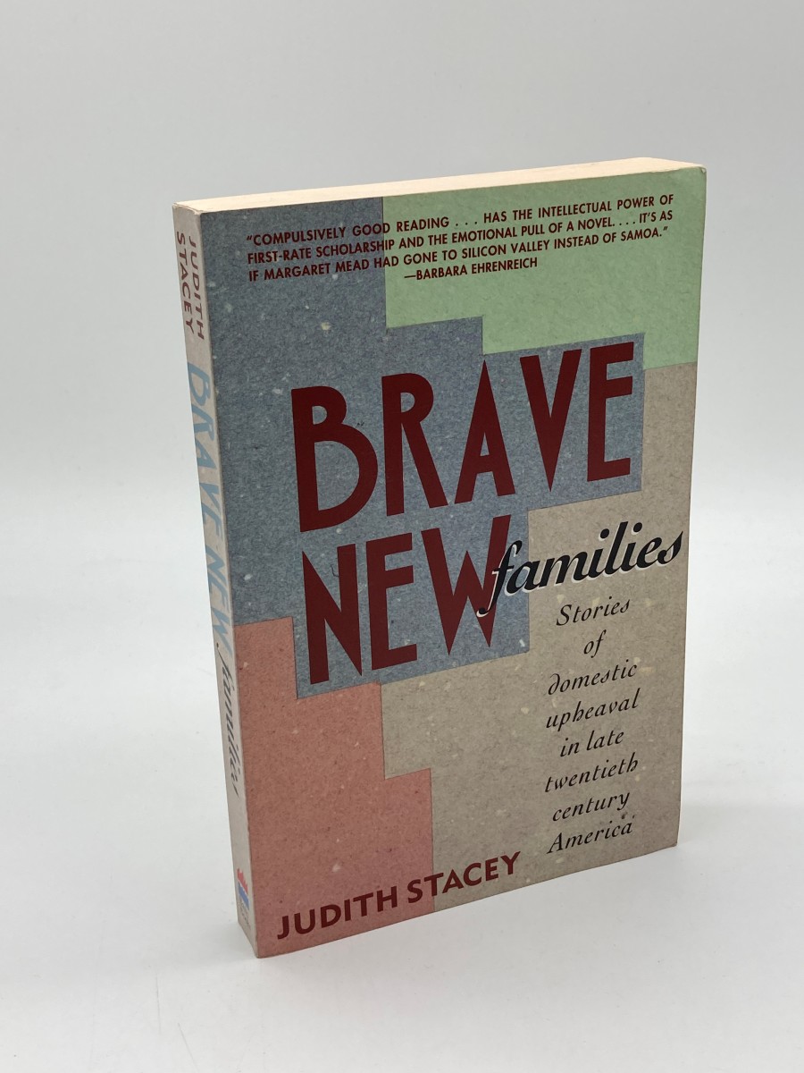 Brave New Families Stories of Domestic Upheaval in Late Twentieth Century America
