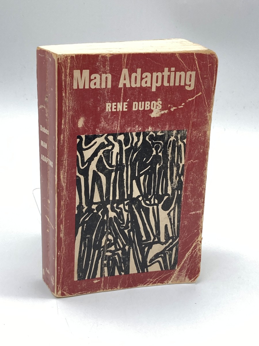 Man Adapting