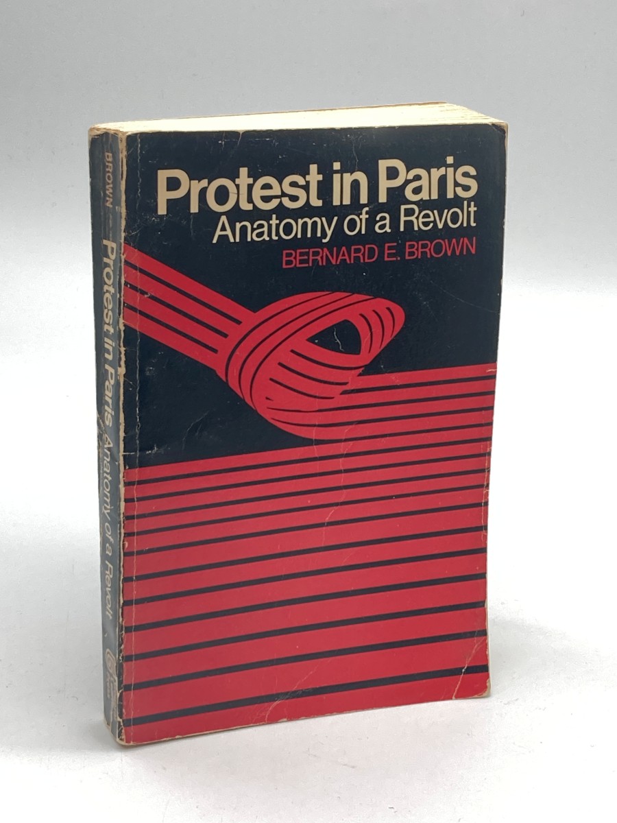 Protest in Paris Anatomy of a Revolt