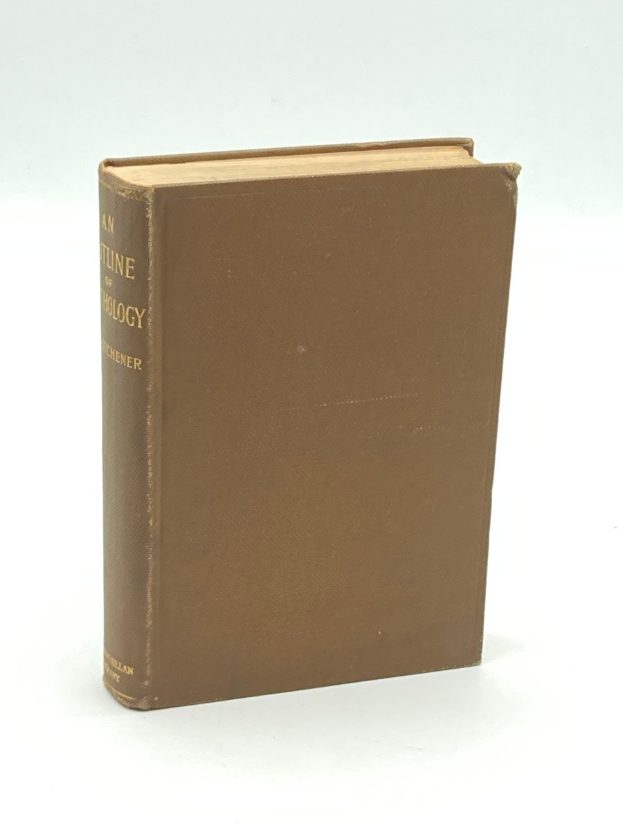 An Outline of Psychology (1899)