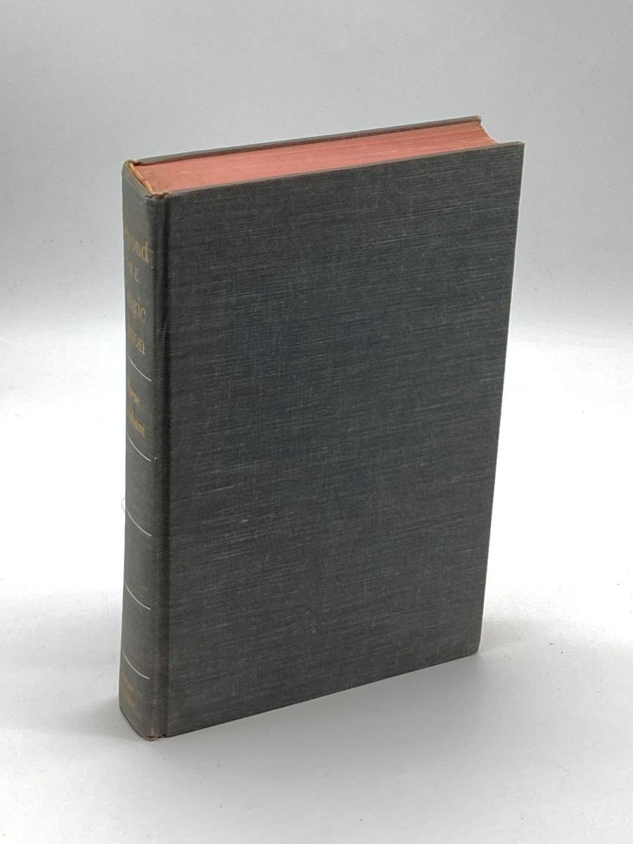 Beyond the Tragic Vision (First Printing) The Quest for Identity in the Nineteenth Century