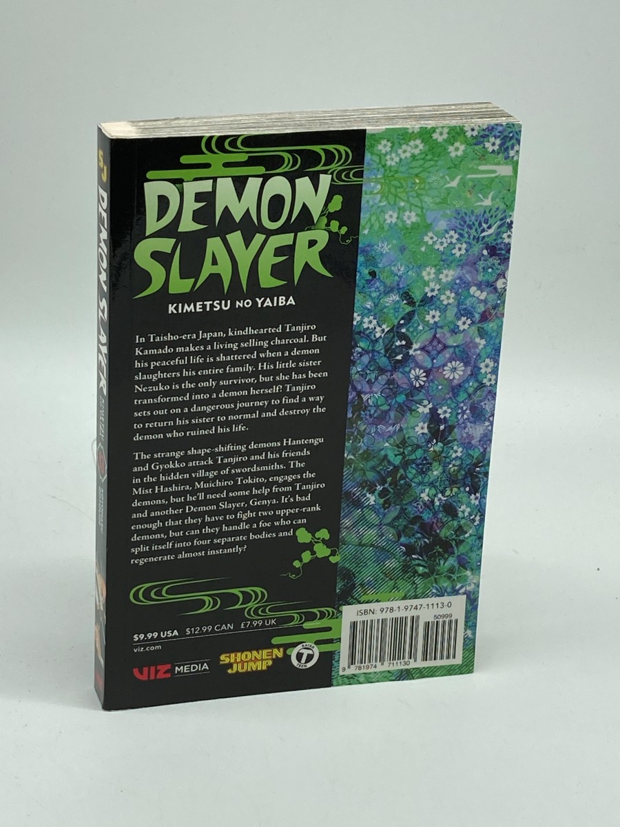 Demon Slayer Kimetsu No Yaiba, Vol. 13