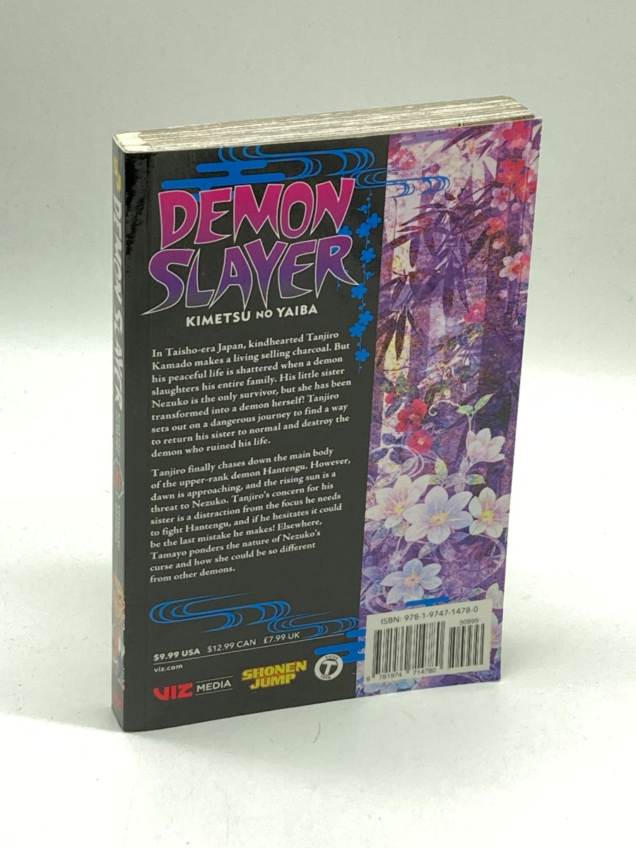 Demon Slayer Kimetsu No Yaiba, Vol. 15