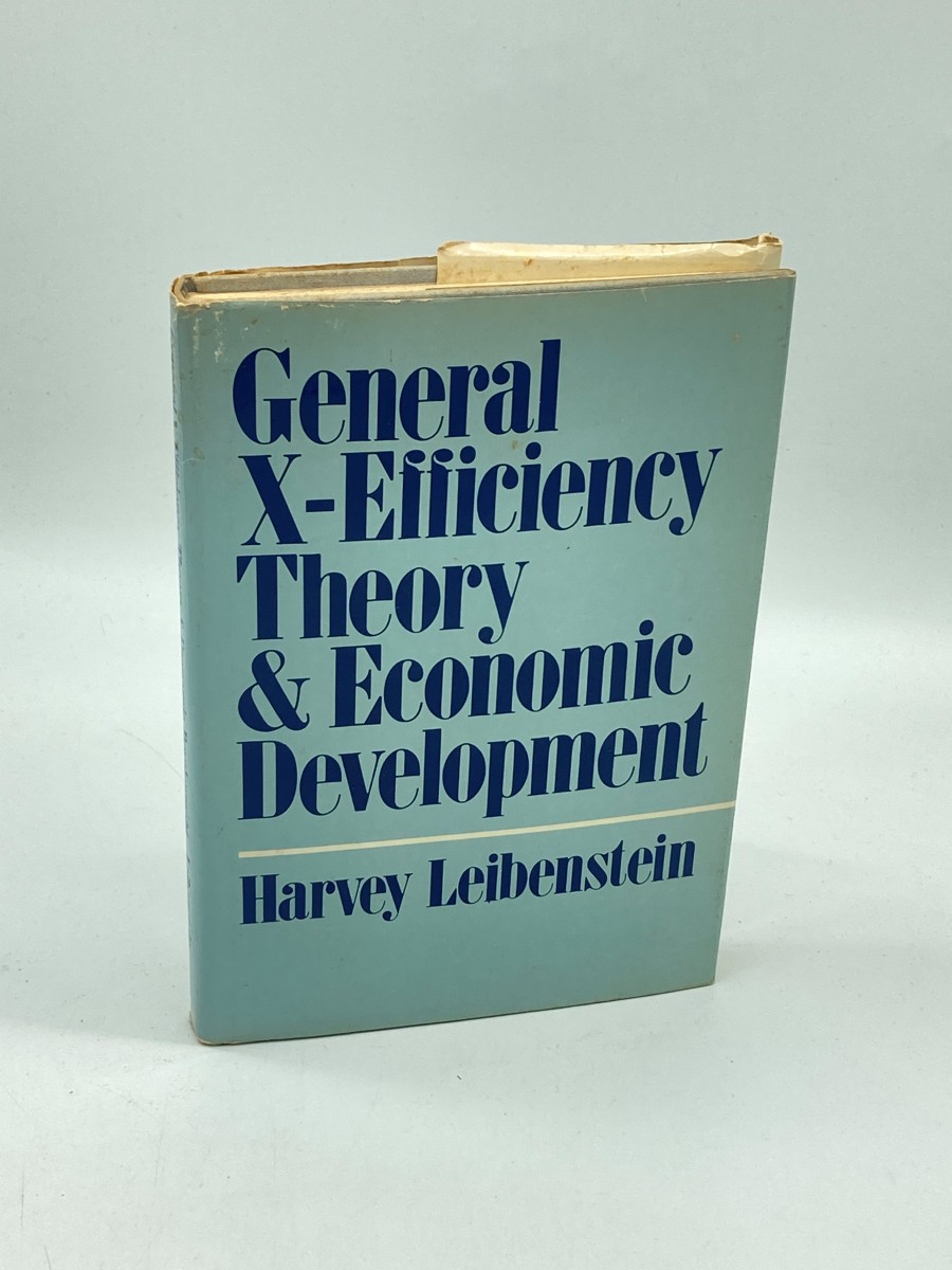 General X-Efficiency Theory and Economic Development