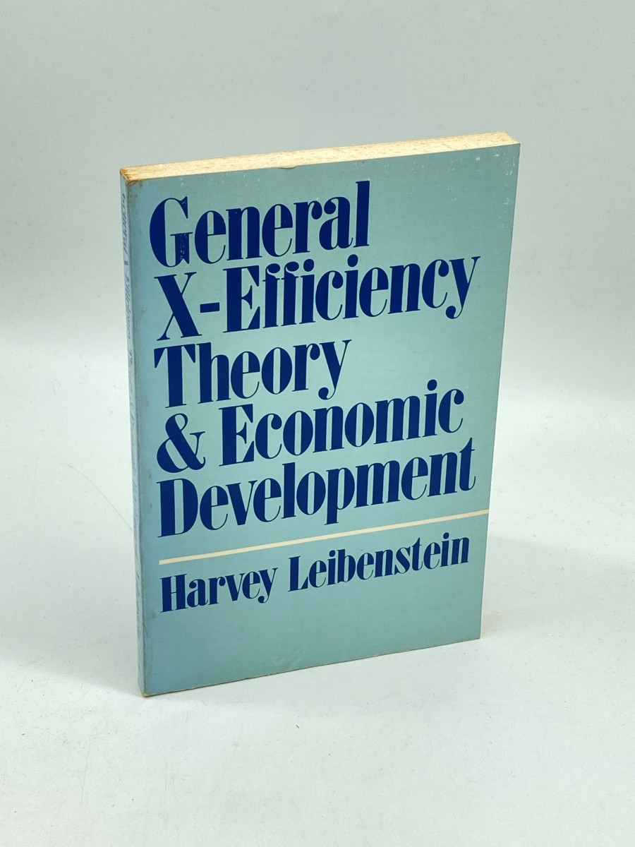 General X-Efficiency Theory and Economic Development