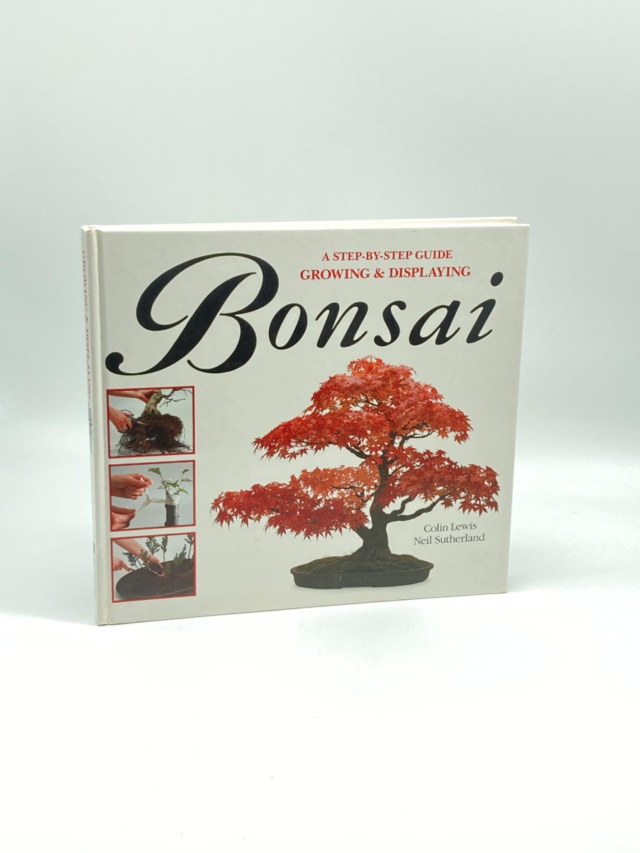 A Step-By-Step Guide to Growing & Displaying Bonsai
