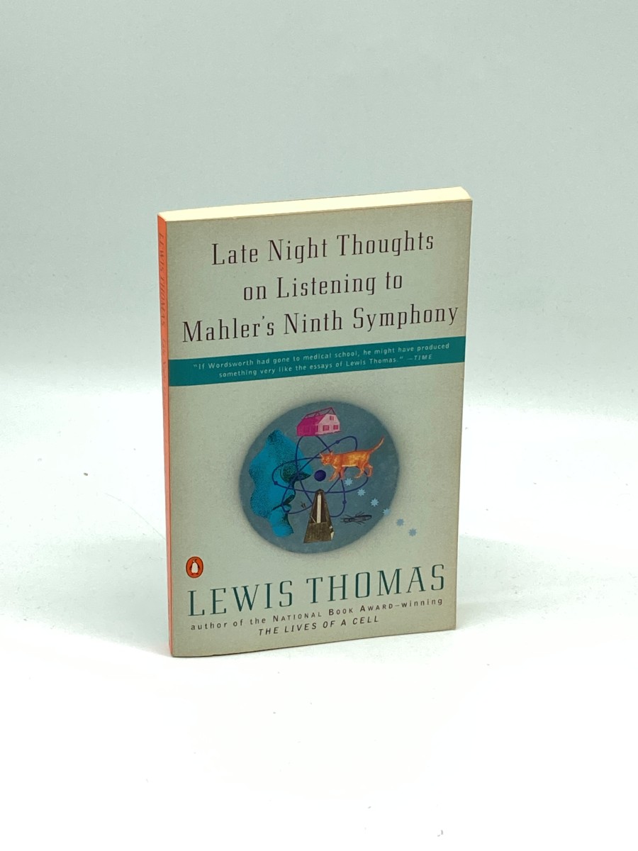 Late Night Thoughts on Listening to Mahler's Ninth Symphony