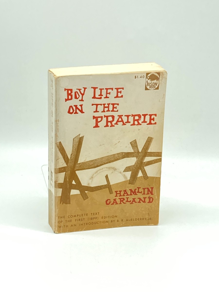 Boy Life on the Prairie