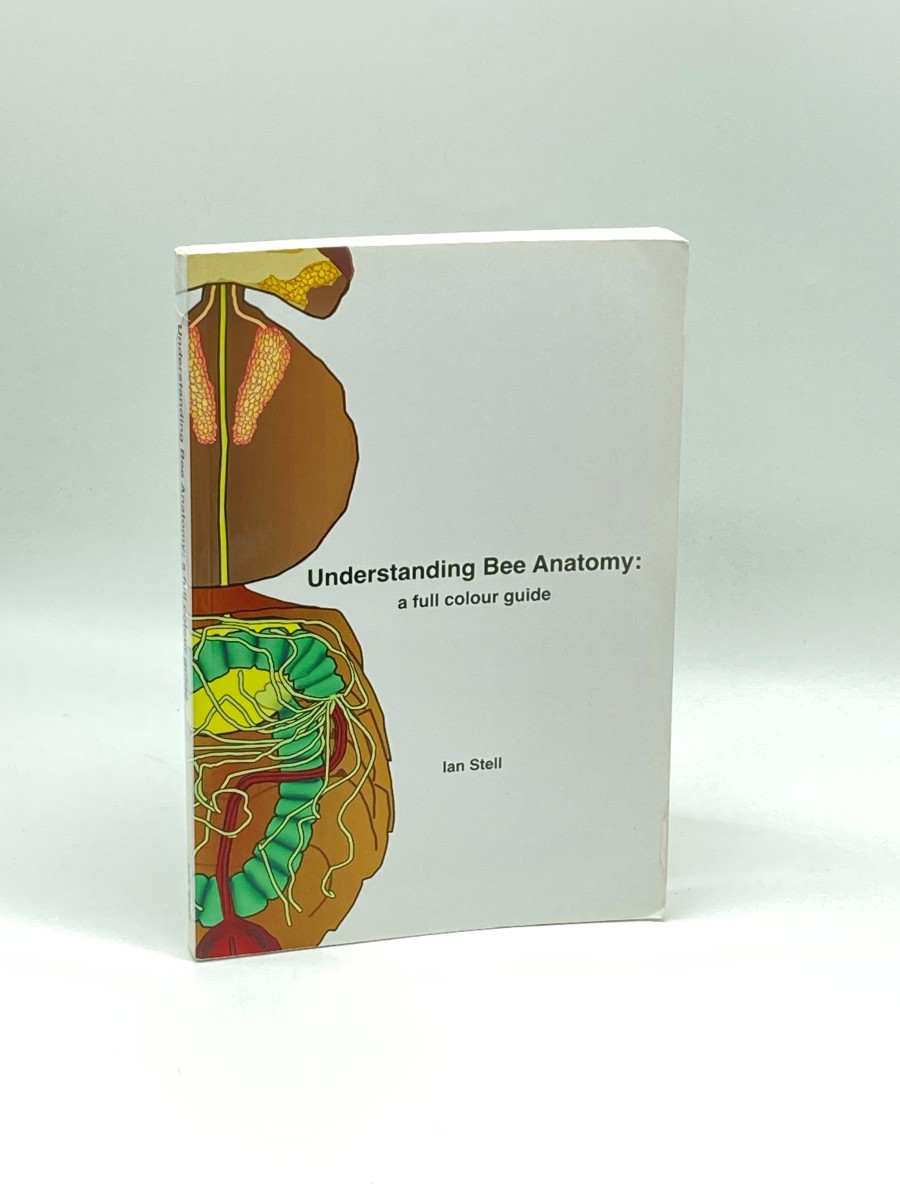 Understanding Bee Anatomy A Full Colour Guide