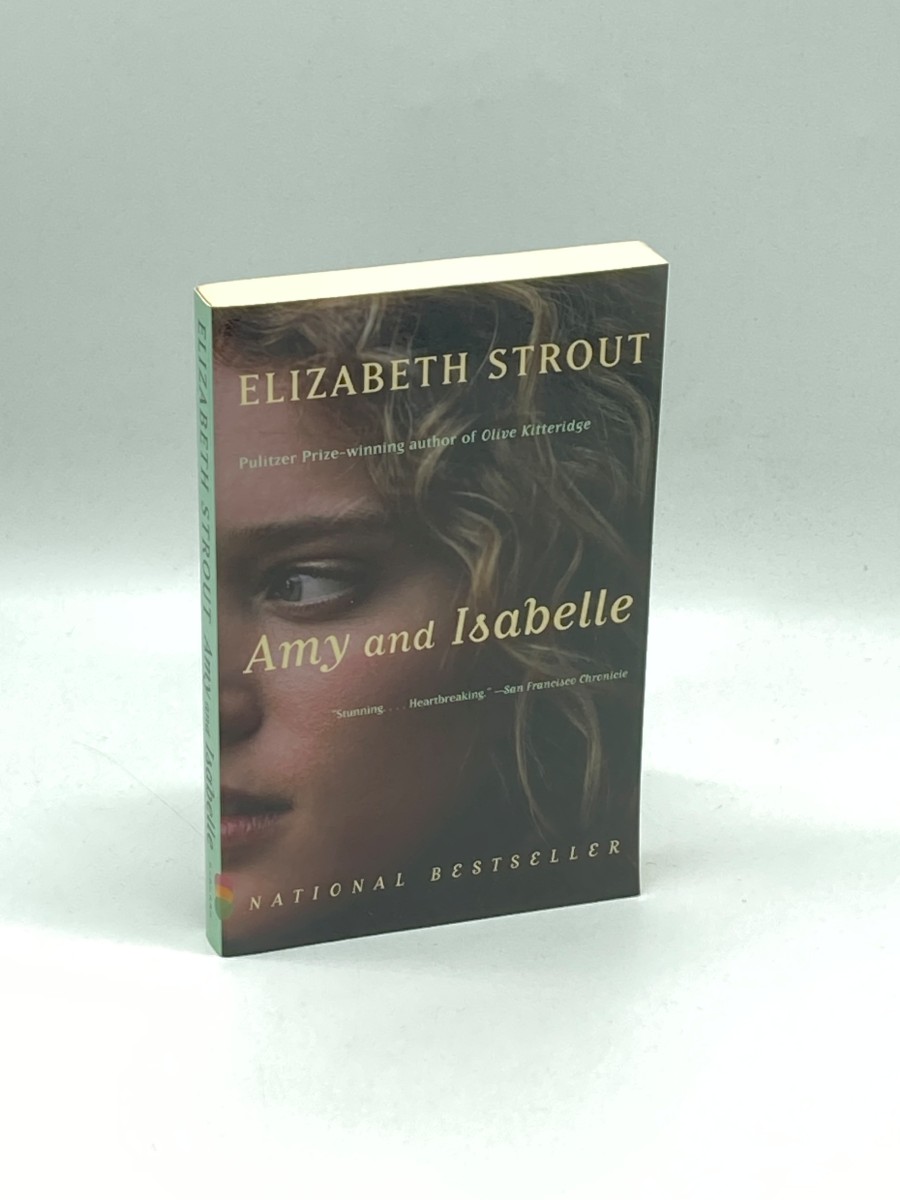 Amy and Isabelle A Novel
