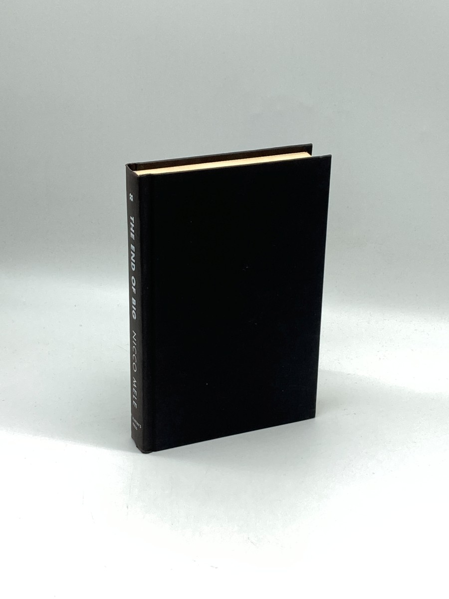 The End of Big (First Printing) How the Internet Makes David the New Goliath