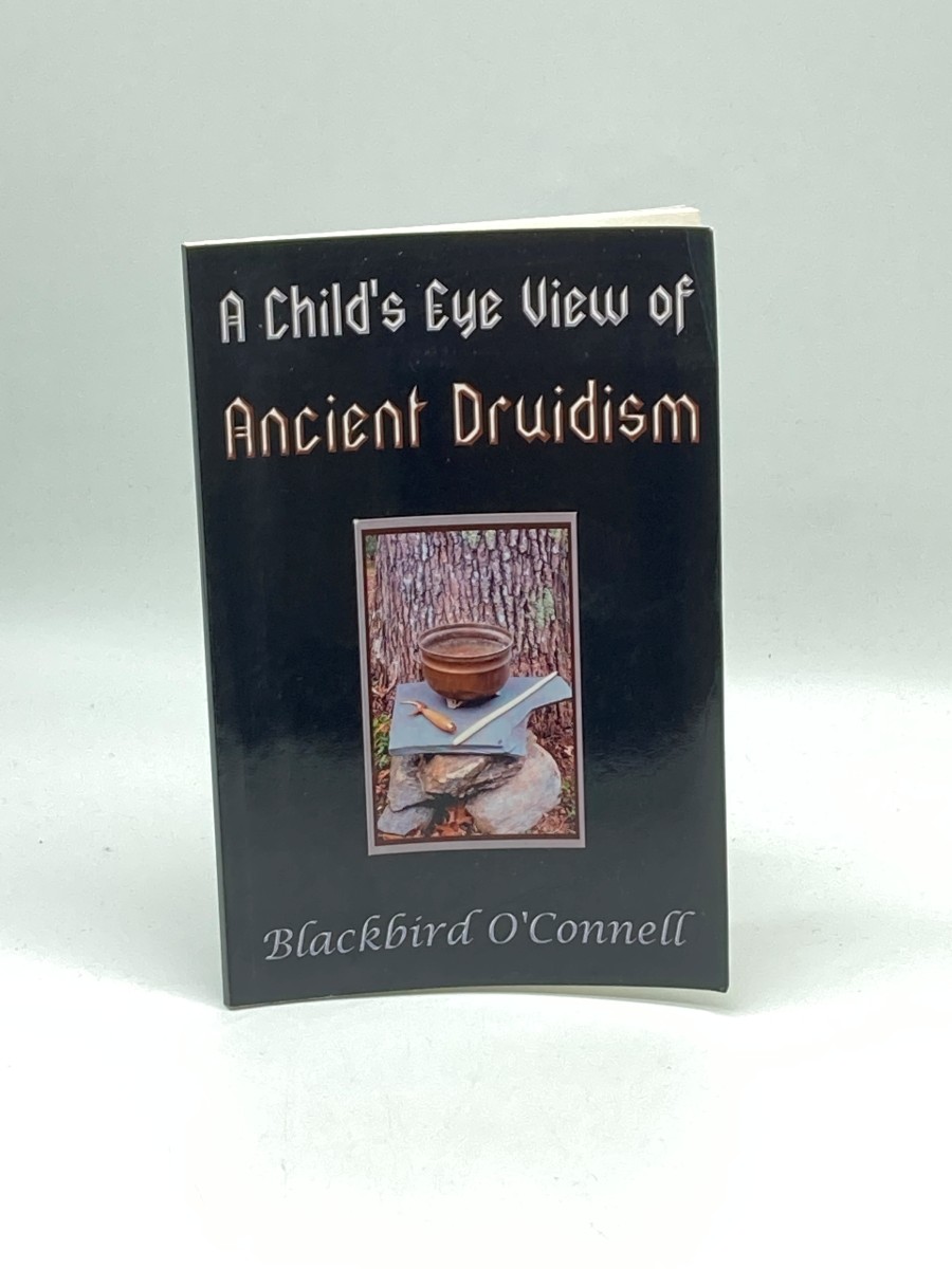 Image for A Child's Eye View of Ancient Druidism A Child's Eye View of Ancient Druidism