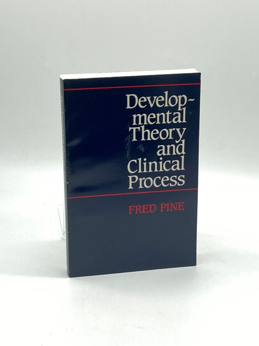 Image for Developmental Theory and Clinical Process Developmental Theory and Clinical Process