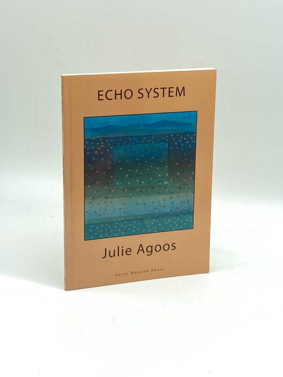 Image for Echo System Echo System