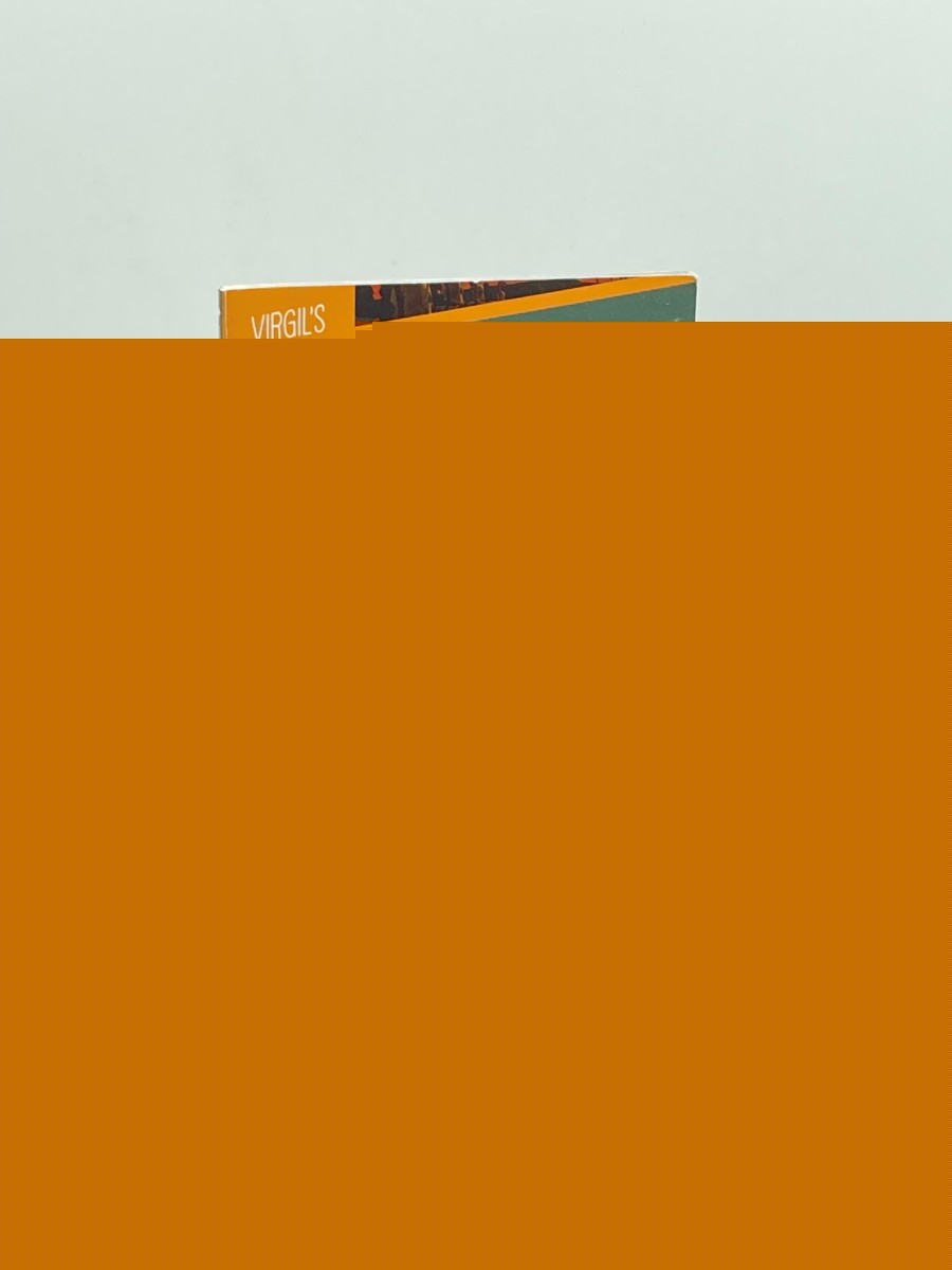 The Aeneid A Graphic Novel (Graphic Revolve: Classic Fiction)