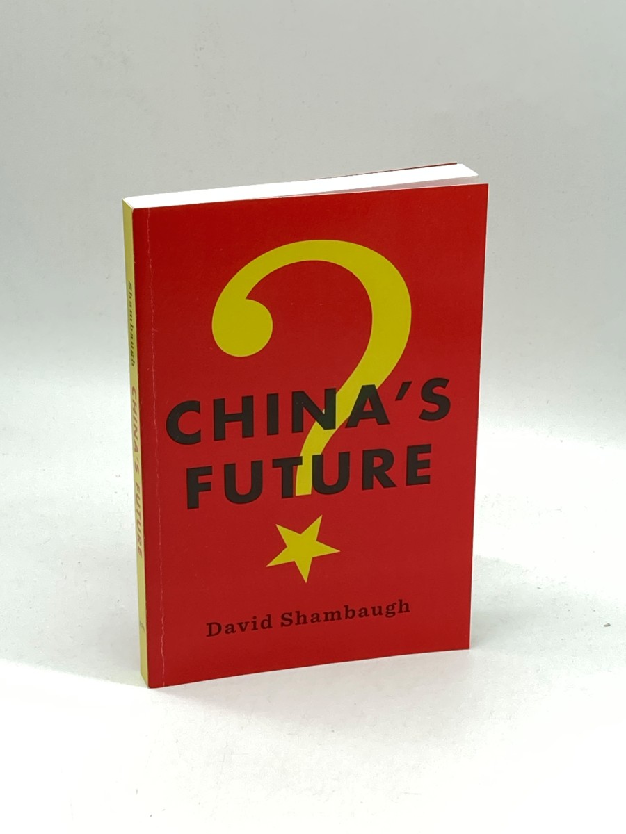 Image for China's Future China's Future
