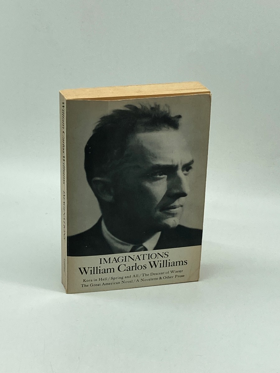 Imaginations Kora in Hell / Spring and all / the Descent of Winter / the Great American Novel / a Novelette & Other Prose