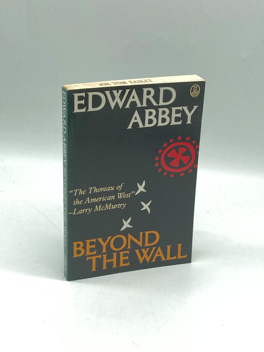 Beyond the Wall Essays from the Outside