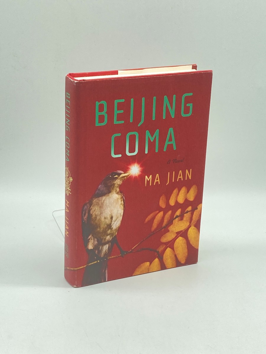 Beijing Coma A Novel