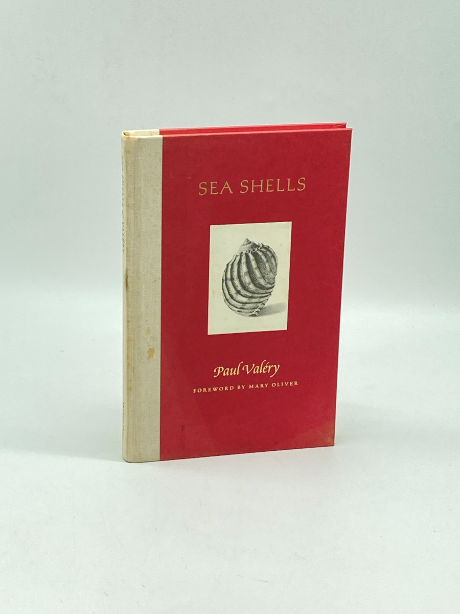 Image for Sea Shells Sea Shells