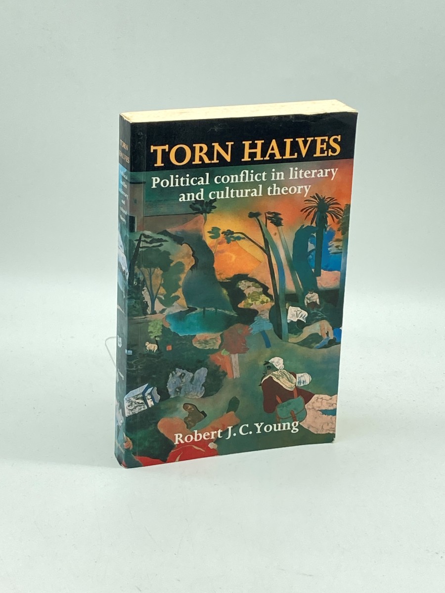 Torn Halves Political Conflict in Literary and Cultural Theory