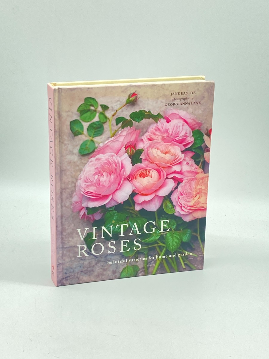 Image for Vintage Roses Beautiful Varieties for Home and Garden Vintage Roses Beautiful Varieties for Home and Garden