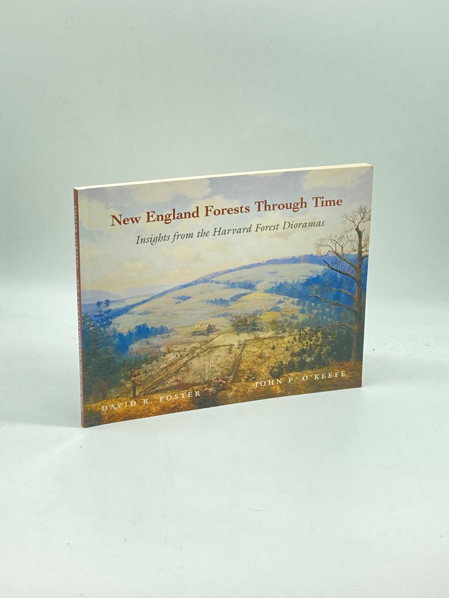 Image for New England Forests through Time Insights from the Harvard Forest Dioramas New England Forests through Time Insights from the Harvard Forest Dioramas