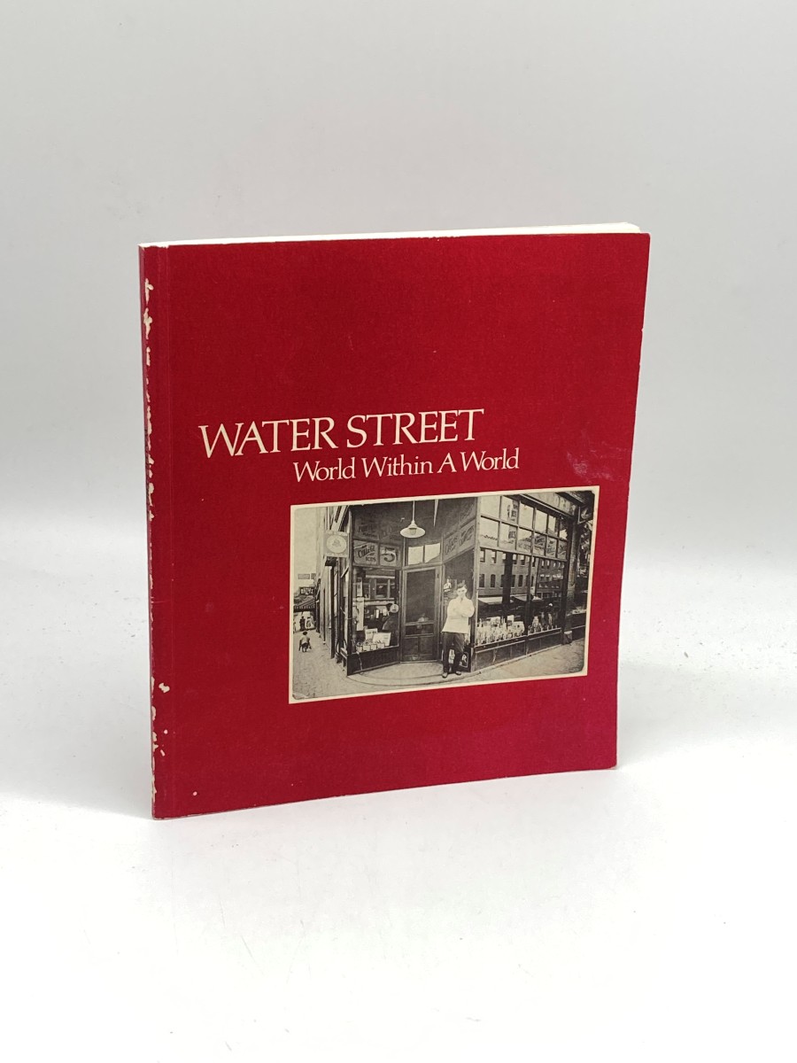 Image for Water Street: World Within a World Worcester, MA Water Street: World Within a World Worcester, MA