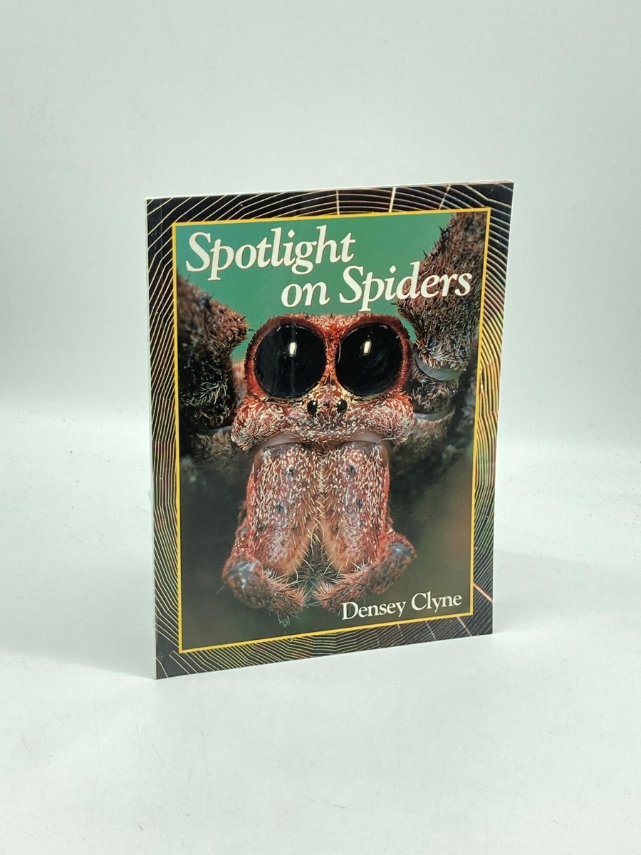 Spotlight on Spiders